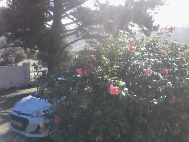 Self Catering Unit 6, Sandbaai Hermanus Luaran gambar