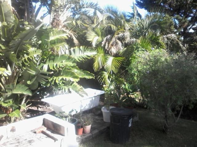 Self Catering Unit 6, Sandbaai Hermanus Luaran gambar