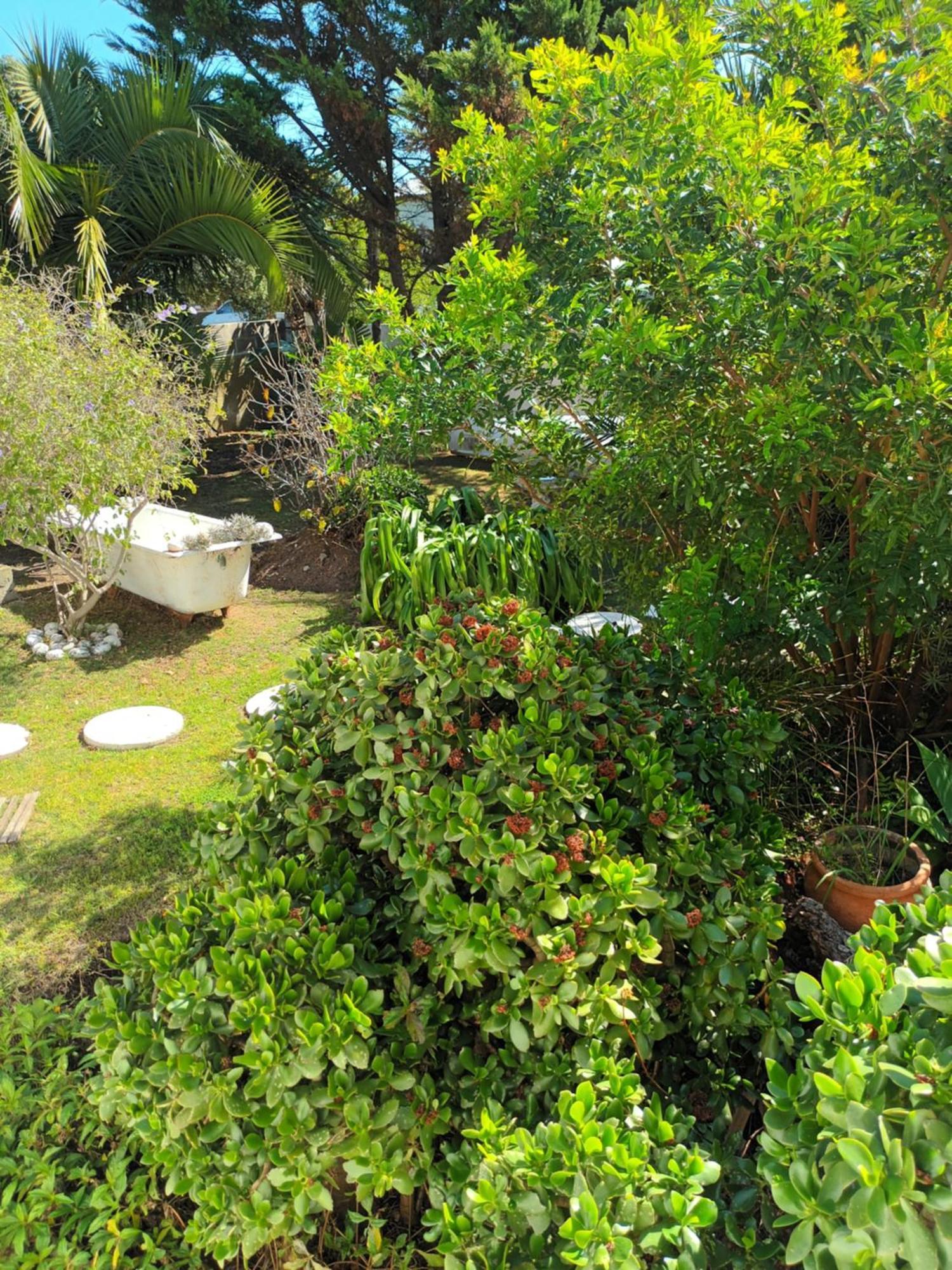 Self Catering Unit 6, Sandbaai Hermanus Bilik gambar